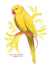 Yellow Indian Ringneck Parrot