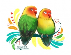 Fischer Lovebirds