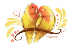 Peach Faced Lutino Lovebirds