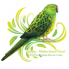 Western Ground Parrot - Kyloring